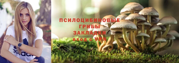 MDMA Premium VHQ Зеленокумск