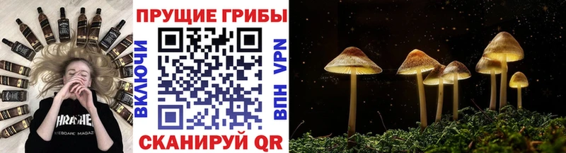 Галлюциногенные грибы Magic Shrooms  Купить где  Темрюк 